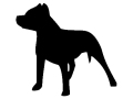 amstaff.png