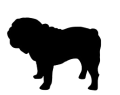 buldog ang.png