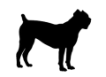 cane corso.png