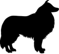 collie.png