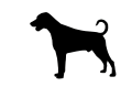 doberman.png