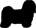 havańczyk.png