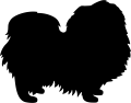 pekińczyk.png