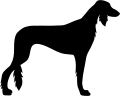 Saluki.png
