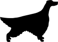 seter.png