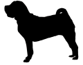 shar pei.png