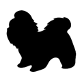 shih tzu.png