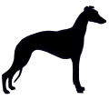 whippet.png