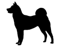 akita.png