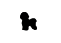 bichon.png