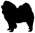 chow chow.png