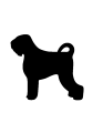 czernysz.png