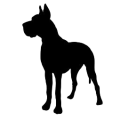 dog.png