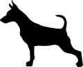 pinczer.png