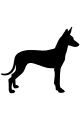 podenko.png
