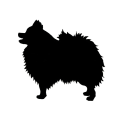 pomeranian.png