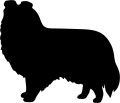 szetlandzki.png