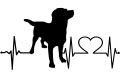 labrador.png