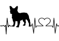 buldog francuski.png
