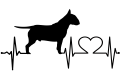 bulterier.png