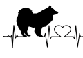 samoyed.png