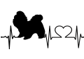 shih tzu.png