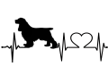 spaniel.png