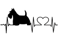terier szkocki.png