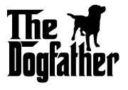 labrador.png