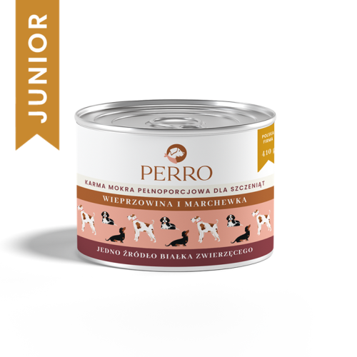 perro-junior.png