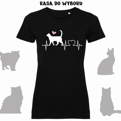 koszulka koty ekg.jpg