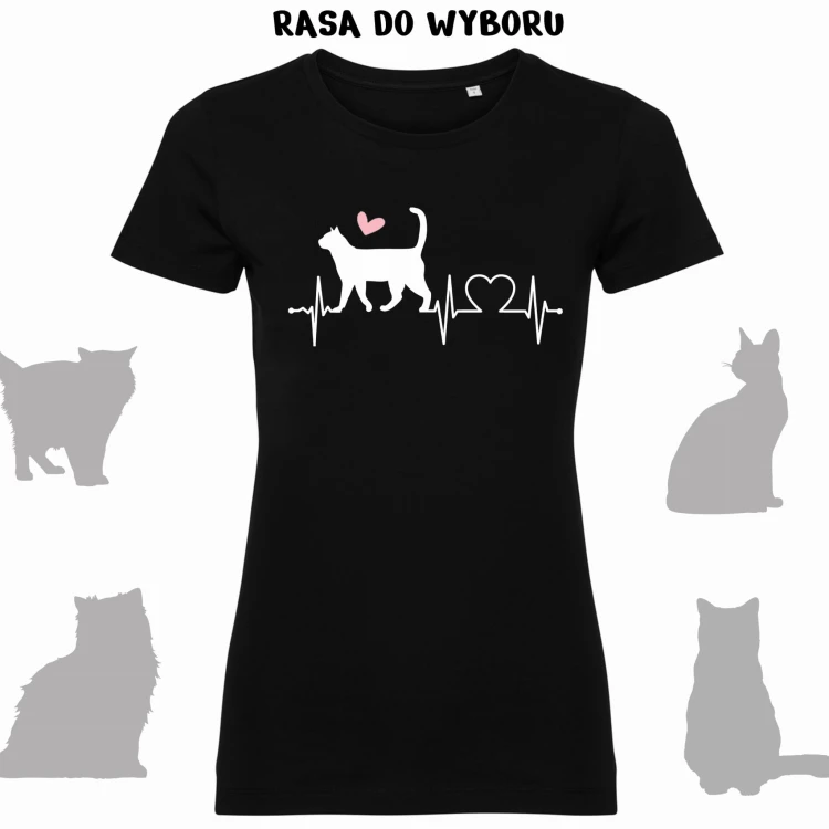 koszulka koty ekg.jpg