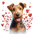 Piesek i serduszka Airedale Terrier