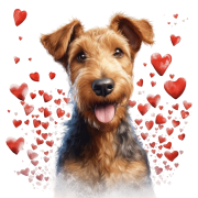 Piesek i serduszka Airedale Terrier