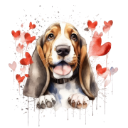 Piesek i serduszka Basset Hound