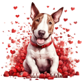 Piesek i serduszka Bull Terrier