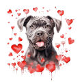 Piesek i serduszka Cane Corso