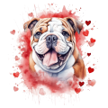 Piesek i serduszka English Bulldog