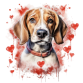 Piesek i serduszka English Foxhound