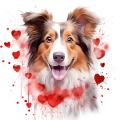 Piesek i serduszka Longhaired Collie