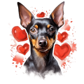 Piesek i serduszka Pinscher