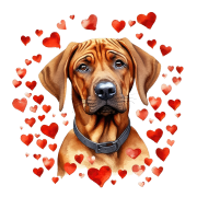 Piesek i serduszka Rhodesian Ridgeback