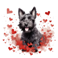 Piesek i serduszka Scottish Terrier