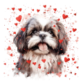 Piesek i serduszka Shih Tzu