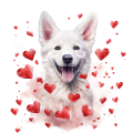 Piesek i serduszka White Shepherd