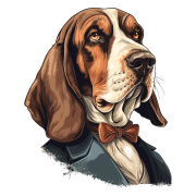 Pies garnitur i muszka Basset_Hound