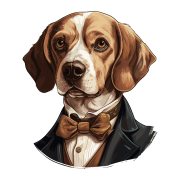 Pies garnitur i muszka Beagle