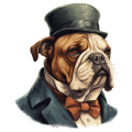 Pies garnitur i muszka Bulldog