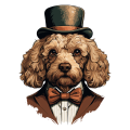 Pies garnitur i muszka Poodle
