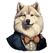 Pies garnitur i muszka Samoyed